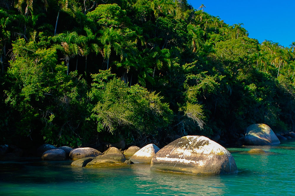 Ilha do Pico