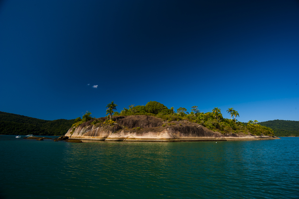 Ilha dos Cachorros