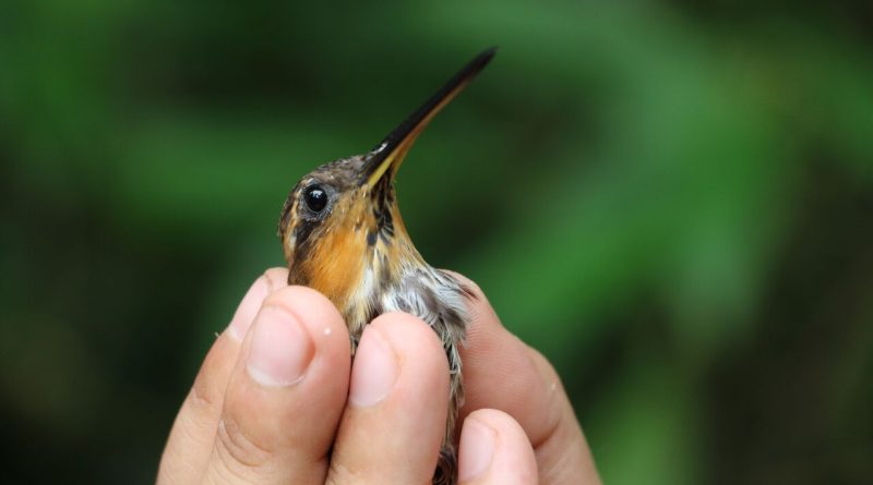 Diversão e contato com a natureza