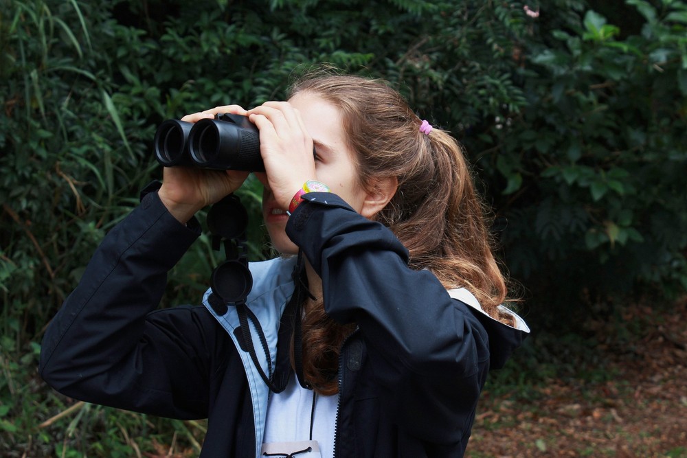 Young Birders reúne jovens observadores