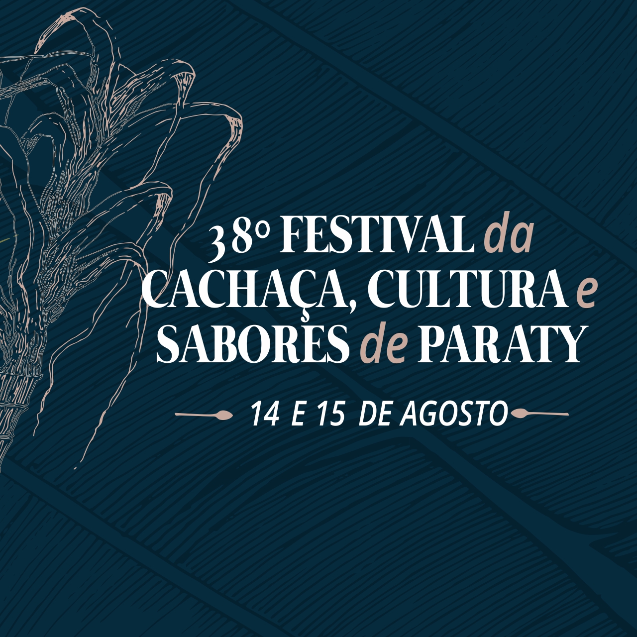 38ª Edição do Festival da Cachaça, Cultura e Sabores de Paraty