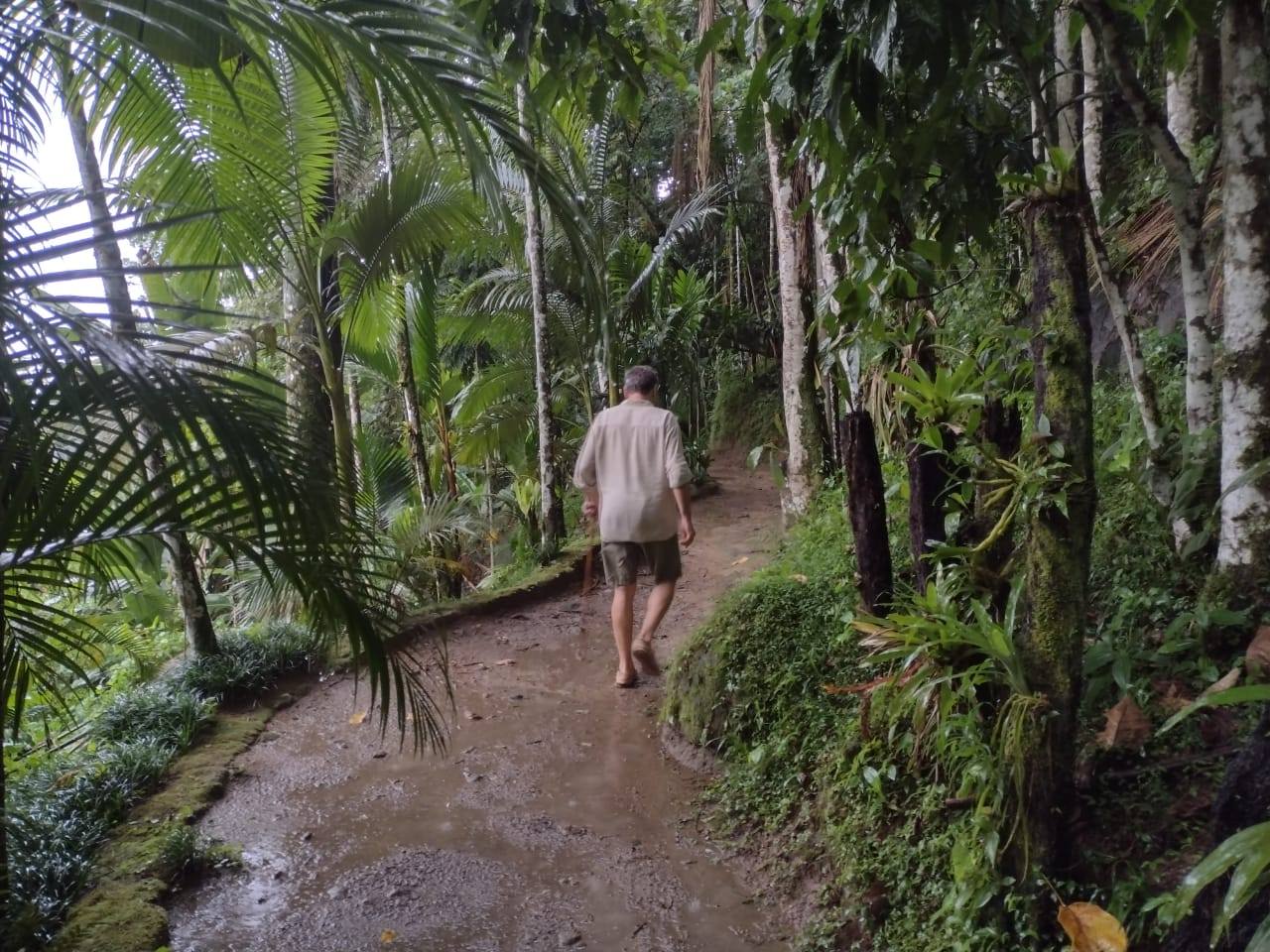 Visita técnica cachoeiras e Caminho do Ouro